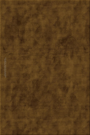 collectors edition 4201-8501 eagle eye- handmade rug,  tibetan (India), 100 knots quality