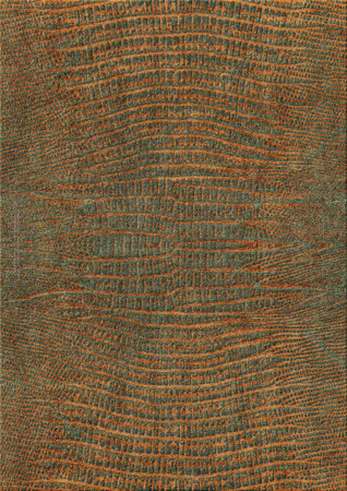 Noble Skin 9463-raptorio - handmade rug,  tibetan (India), 100 knots quality