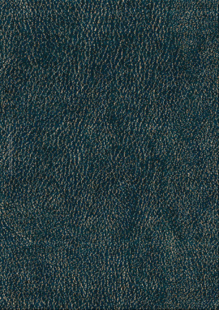 Noble Skin 11699-leather peak - handmade rug,  tibetan (India), 100 knots quality